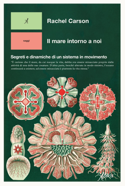 Copertina di «Il mare intorno a noi»