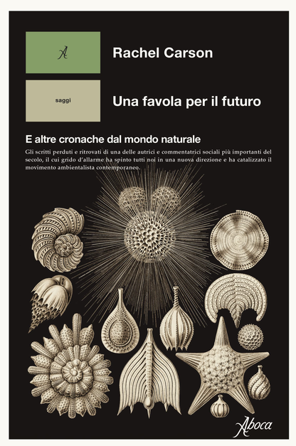 Copertina di «Una favola per il futuro»